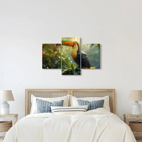 Kép - Tukan (90x60 cm)