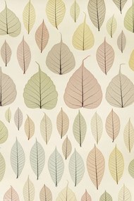 Poszter 20x30cm Csontváz levelek, Assaf Frank