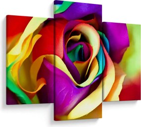 Kép - Színes rózsa (90x60 cm)