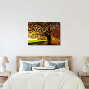 Egy őszi fa képe (70x50 cm)