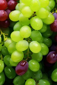 Poszter 61x90,5cm Szőlő kaleidoszkóp