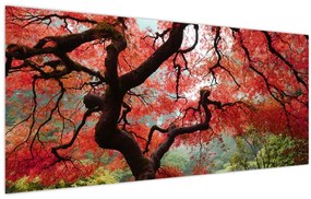 Red Japanese Maple, Portland, Oregon képe (120x50 cm)