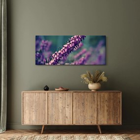 Lila virág képe (120x50 cm)