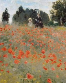Monet, Claude - Festmény reprodukció Poppies, (30 x 40 cm)