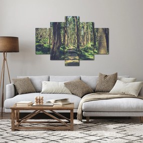 Kép egy út a fák között (150x105 cm)