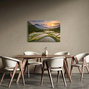 Kép - Rizsteraszok (90x60 cm)