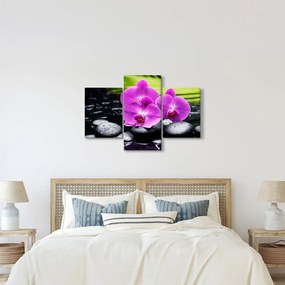 Kép - Orchideák (90x60 cm)
