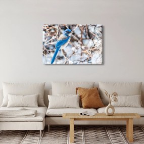 Kép - Téli madár (90x60 cm)
