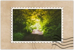 Poszterek 120x80 Zöld levelek Levelek