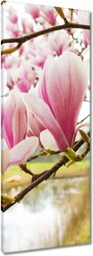 Vászonkép 40x100 Magnólia Budapest Virág