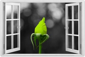 Poszterek 90x60 Lime rózsa