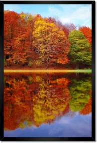 Poszterek keretben 40x60 Őszi táj