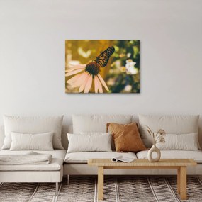 Pillangó képe a virágon (70x50 cm)