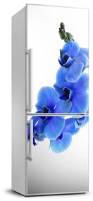 Dekor matrica hűtőre Kék orchidea FridgeStick-70x190-f-91549599