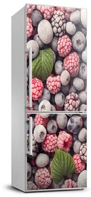 Dekor matrica hűtőre Fagyasztott gyümölcs FridgeStick-70x190-f-90865962