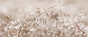 Kép - rét barna árnyalatokban (120x50 cm)