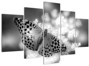 Kép - Részlet egy virágot beporzó pillangóról (150x105 cm)