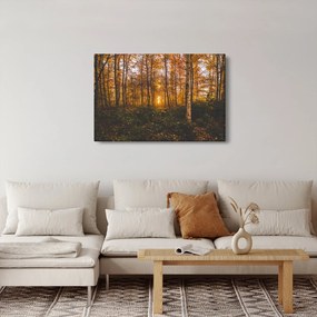 Egy őszi erdő képe (90x60 cm)