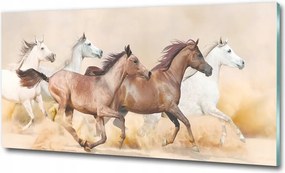 Fotótapéta üvegfalra Lovak a galoppban 100x70