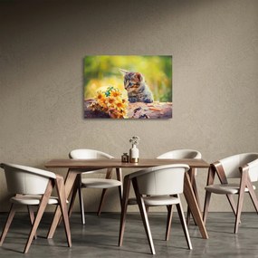 Macska képe ahogy a virágot nézi (üvegen) (70x50 cm)