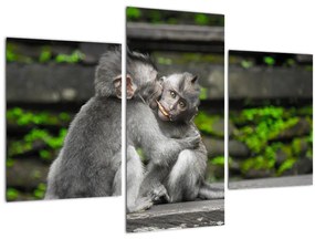 Kép - majmok (90x60 cm)