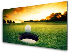 Üvegkép Golf Ball Grass Nature 100x50 cm 2 fogas