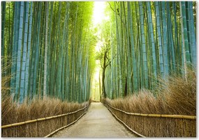 Konyhai védőpanel Bambusz erdő Ragasztó Ingyenes