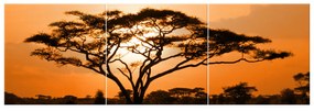 Gario Vászonkép Gyönyöru afrikai táj - 3 részes Méret: 90 x 30 cm