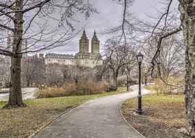 Poszter 84x59,5cm ĂsvĂ©ny a központi parkon ĂĄt 3, Assaf Frank