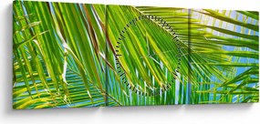Kép - Pálmalevelek (órával) (90x30 cm)