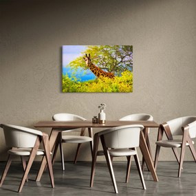 Egy kép egy zsiráfról Afrikában (90x60 cm)