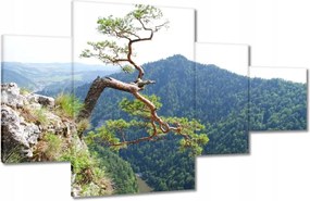 Festmények 130x80 Magányos fa