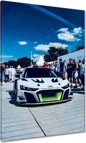 Vászonkép 70x100 Autó Fura Sport