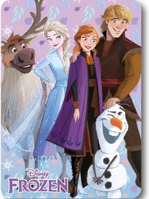 Disney Jégvarázs Winter Friends polár takaró 100x140cm