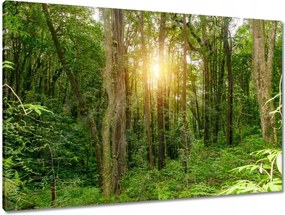 Vászonkép 90x60 Tájkép park