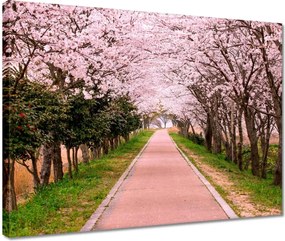 Vászonkép 40x30 Virágok