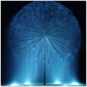 Poszterek 100x100 Pitypang Virág Virágok