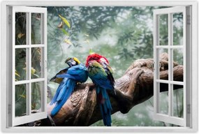 Poszterek 90x60 Szerelmes papagájok
