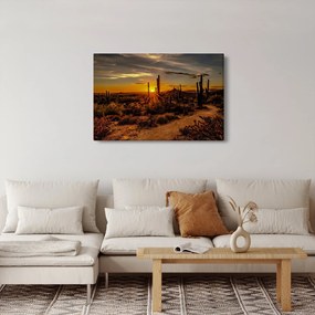 Kép - A nap vége az arizonai sivatagban (90x60 cm)