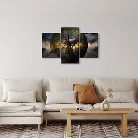 Kép - Titokzatos ég (90x60 cm)
