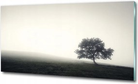 Fotó kép edzett üveg Erdei ösvény 125x50