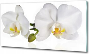 Fotó vászonkép edzett üveg Orchidea 100x70