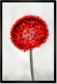 Poszterek keretben 40x60 Piros pitypang