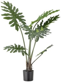 Művirág (magasság 84 cm) Philodendron – Bloomingville