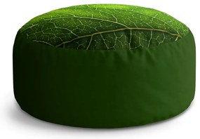 Circle zsámoly levél részlet, zöld