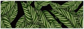 Poszterek 200x66 Zöld levelek Trópusok