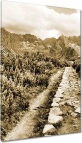 Vászonkép 80x120 Tátra Lengyel hegyek Kilátás