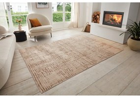 Barna-bézs szőnyeg 240x340 cm Terrain – Hanse Home