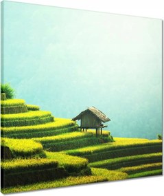 Vászonkép 50x50 Trópusi teraszok Zöld