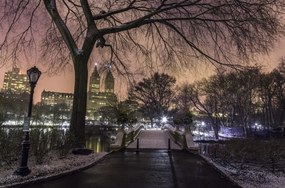 Poszter 86,4x56,8cm Esti kilátás a Central Parkra, Assaf Frank